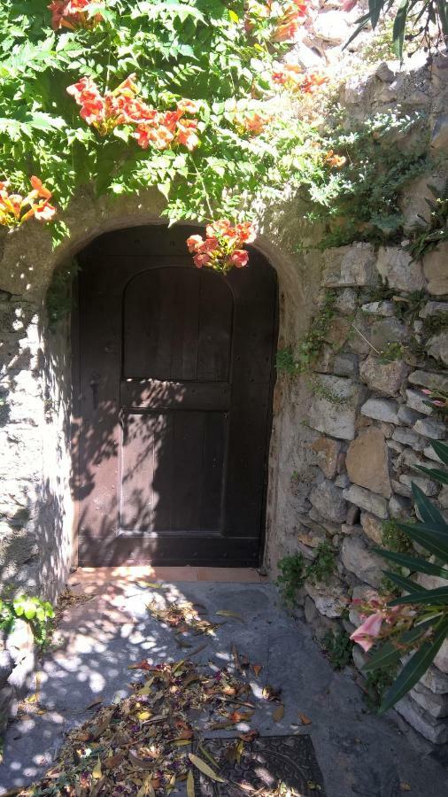 Les Studios De St Guilhem Saint-Guilhem-le-Desert Exterior foto